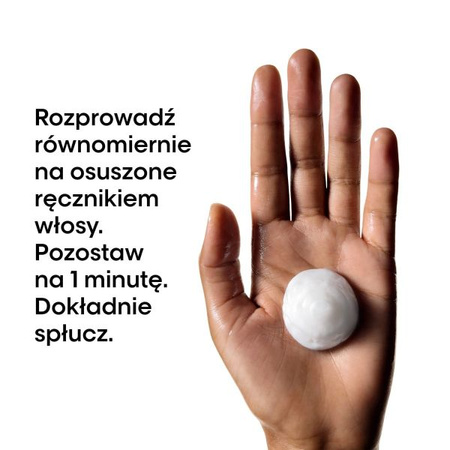 L'oreal Professionnel Metal Detox Maska Neutralizująca Metale do Włosów Farbowanych, 500ml