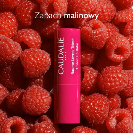 Caudalie Vinotherapist Koloryzujący Balsam do Ust 4,5g