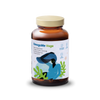 Health Labs OmegaMe Vege | Wegańskie Źródło Kwasów Omega 3 DHA, 60 sztuk