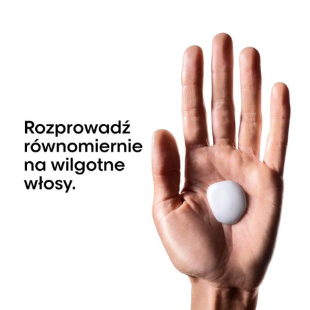 L'oreal Professionnel Metal Detox Szampon do Włosów Farbowanych Neutralizujący Metale, 300ml