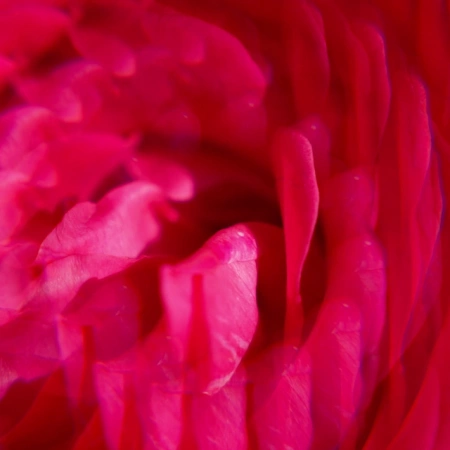 Roger&Gallet Gingembre Rouge – Energetyzujący Żel pod Prysznic z Imbirem, 500ml 